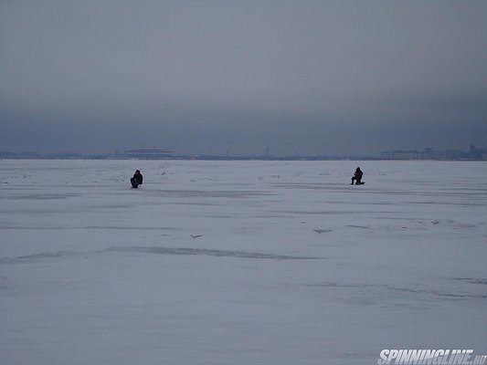 Изображение 1 : Финский залив. Сдача норматива по спортивной ходьбе с санками