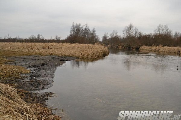 Изображение 1 : Новые горизонты