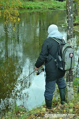 Изображение 1 : Пара речек Карельского перешейка